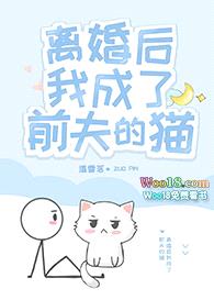 离婚后我成了前夫的猫封面